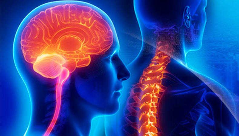 brain-spine-tumors